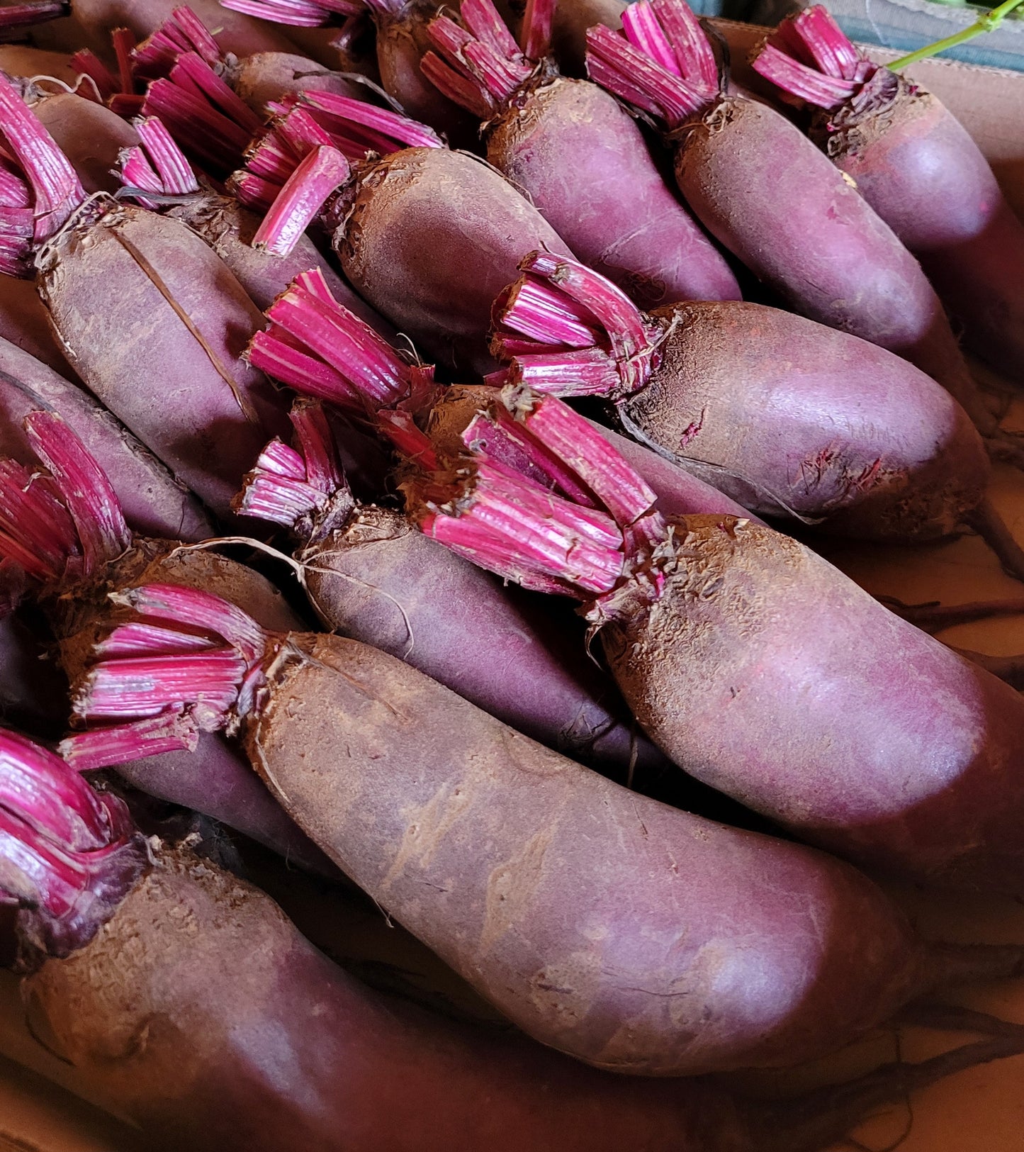 Beets, $2 per pound