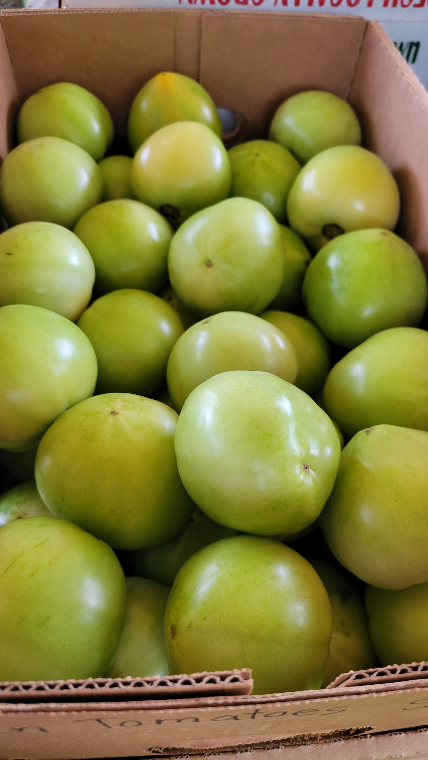 Green Tomatoes, Half Bushel