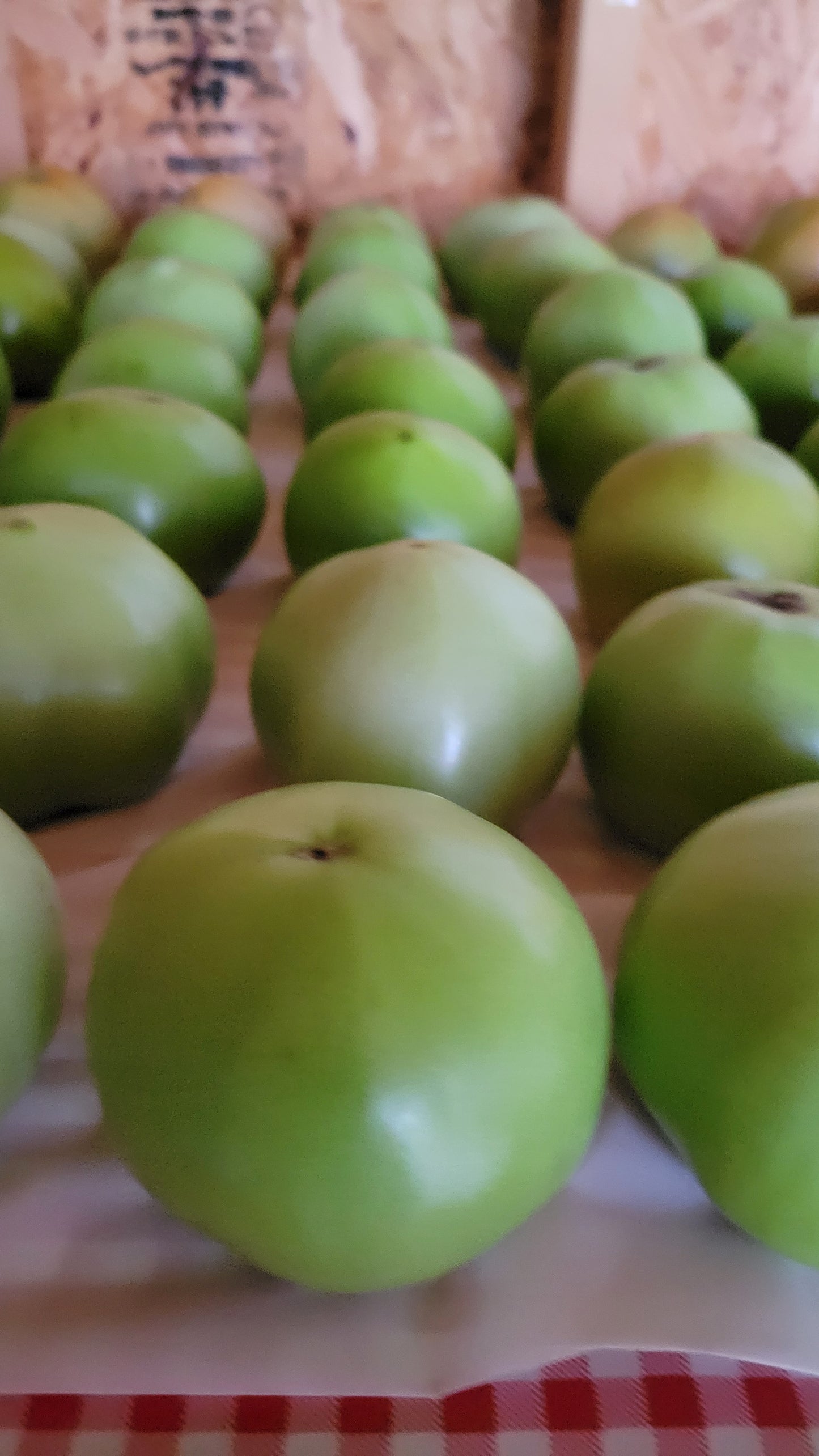 Green Tomatoes