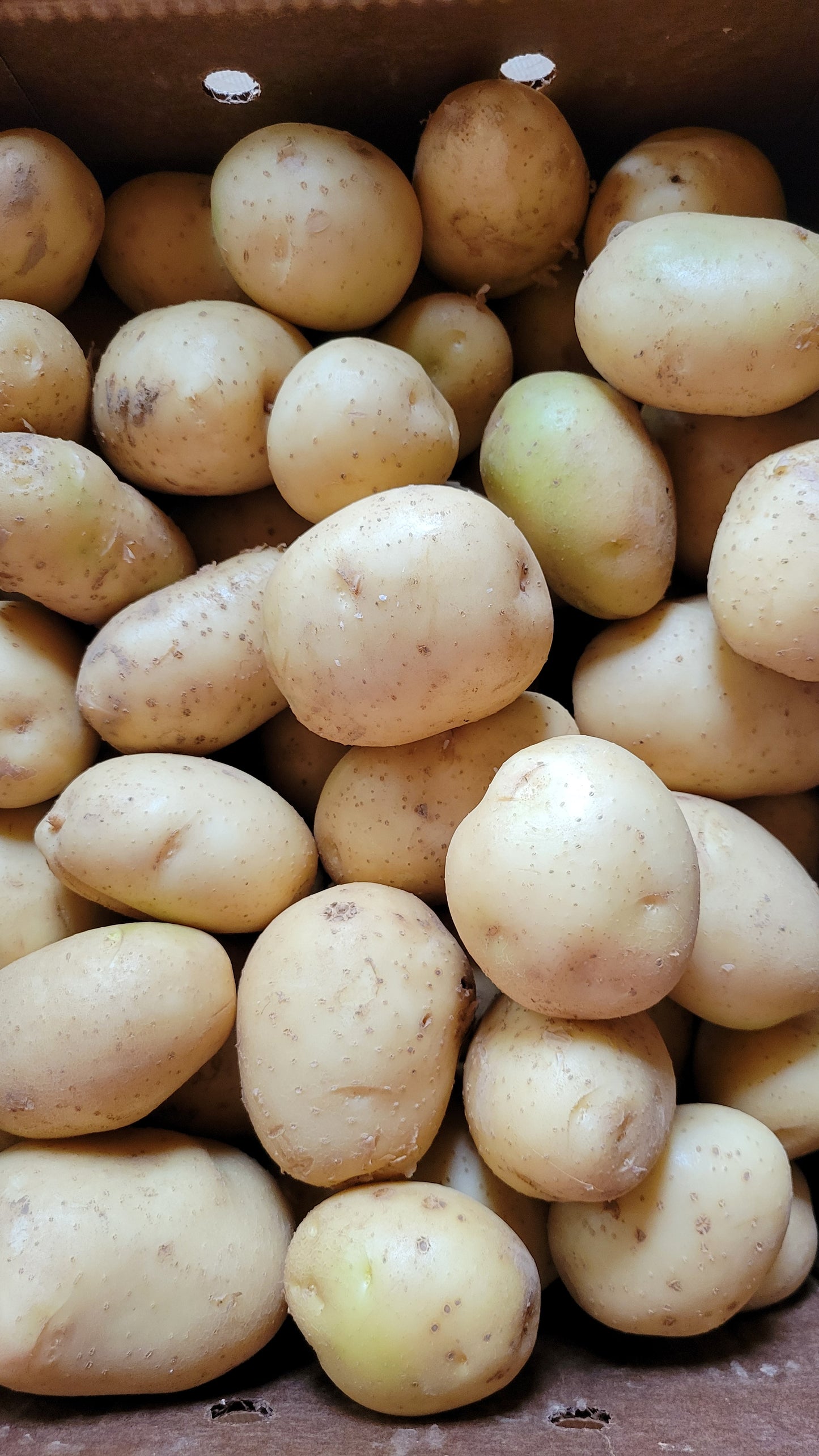 Potatoes, white, Half Bushel