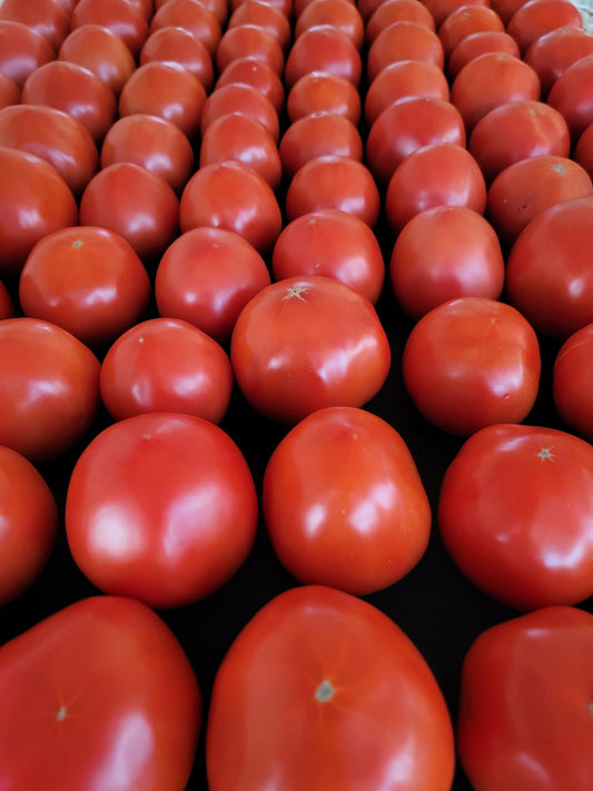 Red Deuce Tomatoes, Excellent Slicer, 1 lb