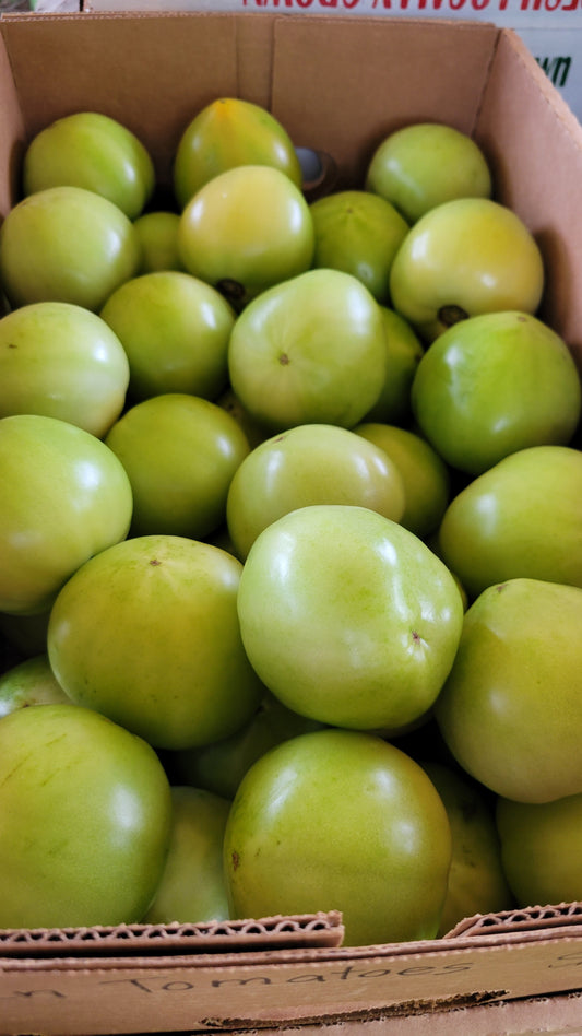 Green Tomatoes, Half Bushel