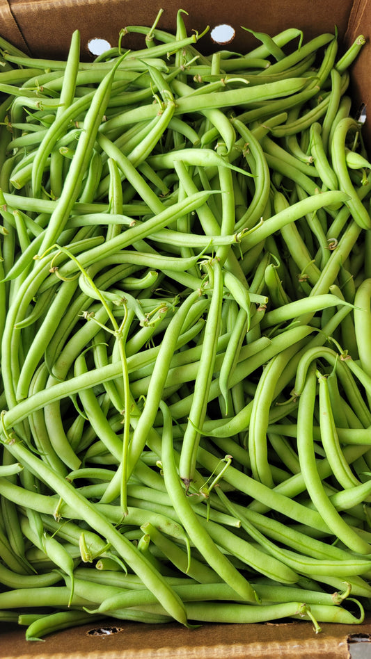Green Beans, Half Bushel