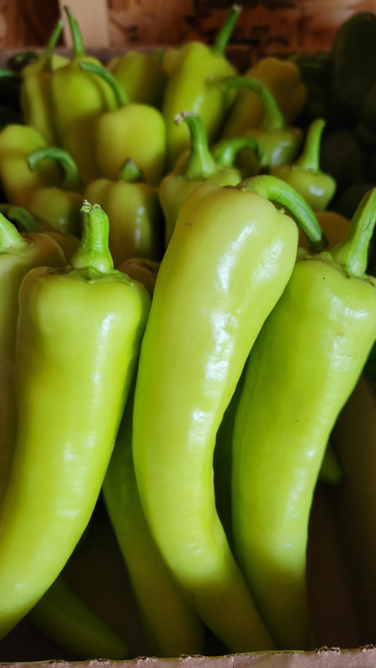 Hot Banana Peppers, 3 pieces