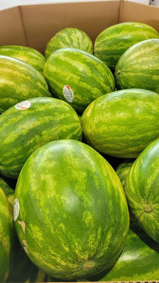 Large Seedless Watermelon