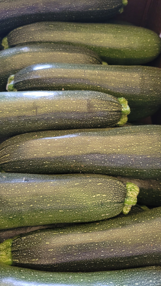 Zucchini, Half Bushel
