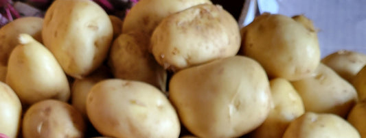 Potatoes, white