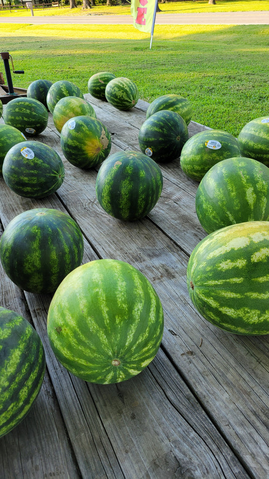 Seedless Watermelon